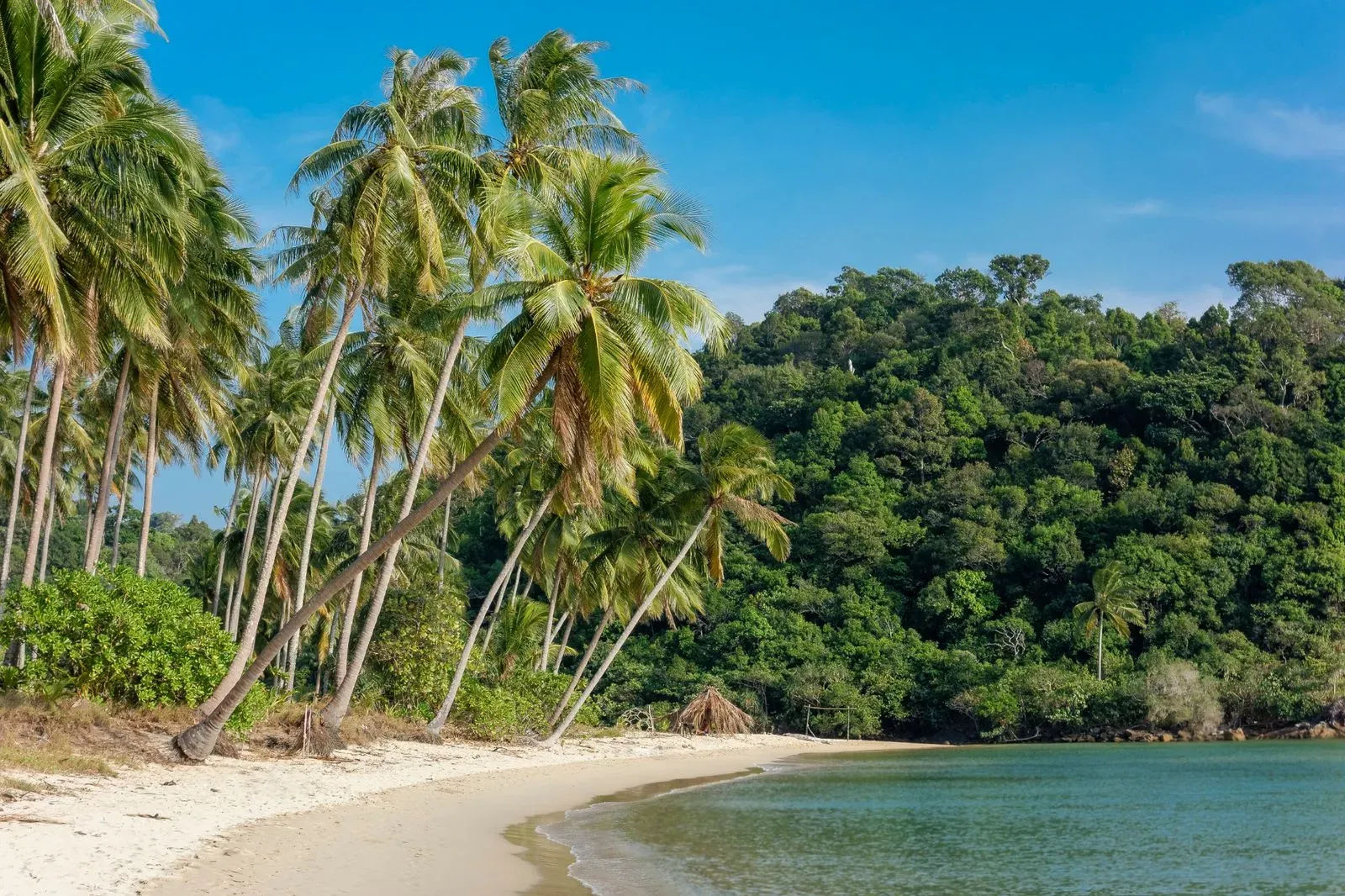 Une magnifique plage tropicale avec ses cocotiers et son eau turquoise sur l'île de Koh Chang en Thaïlande.