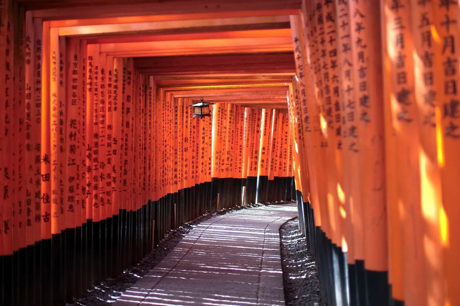 Une allée de Torris orange dans le sactuaire de Fushimi Inari-taisha à Kyoto au Japon.