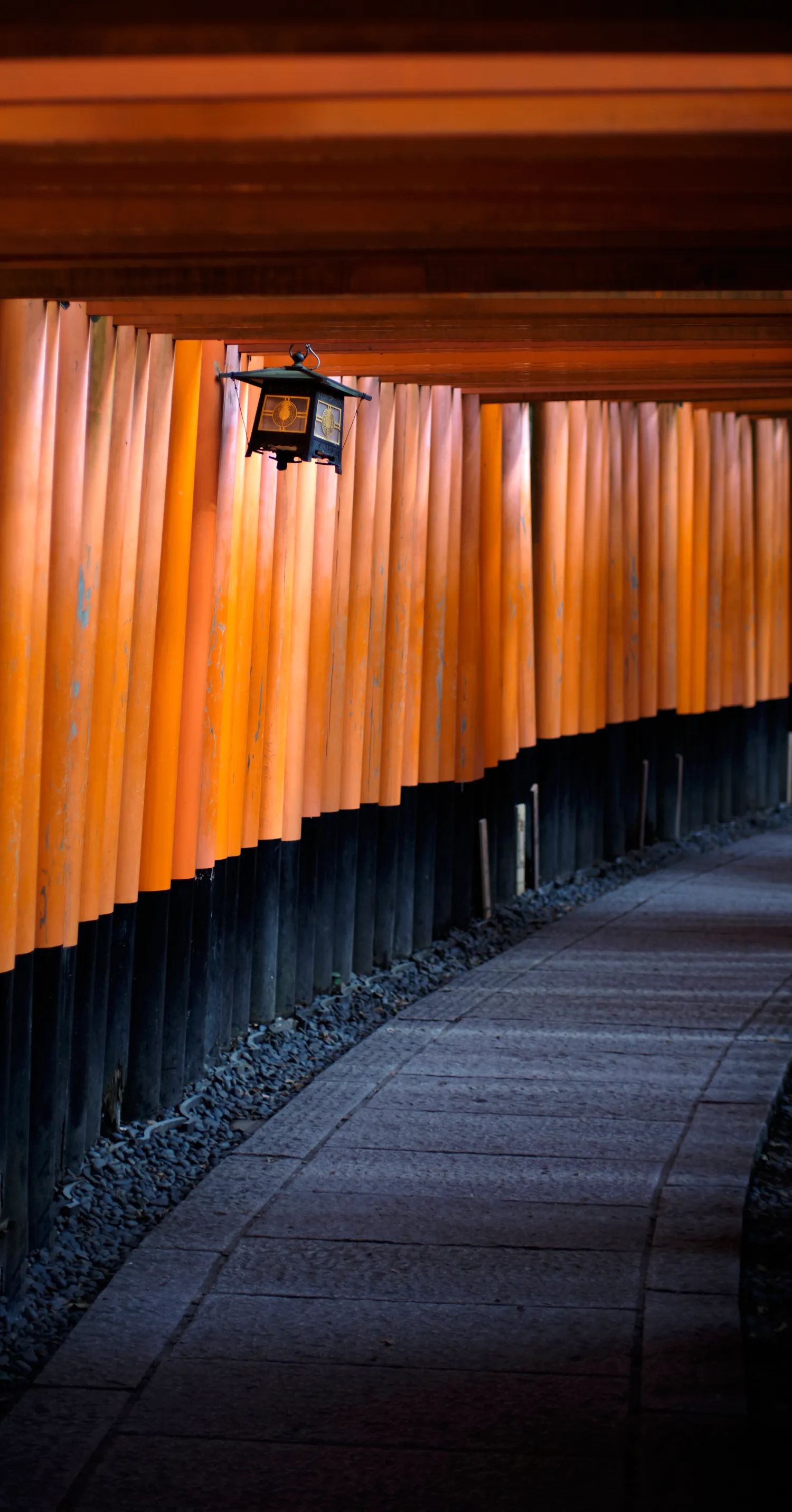 Une allée de Torris orange dans le sactuaire de Fushimi Inari-taisha à Kyoto au Japon.